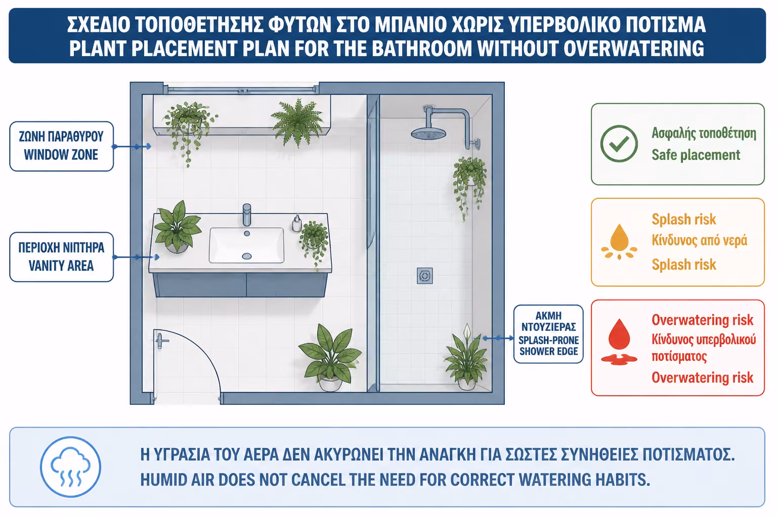 Εικονογράφηση για 10. Πότισμα: το μεγαλύτερο λάθος στα φυτά μπάνιου