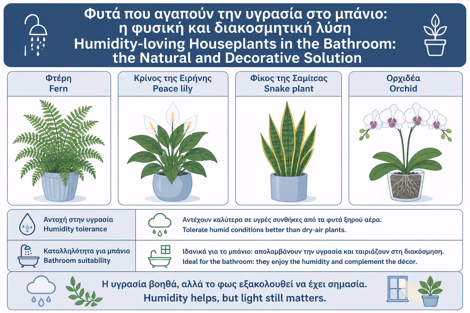Εικονογράφηση για 2. Γιατί κάποια φυτά αγαπούν το μπάνιο