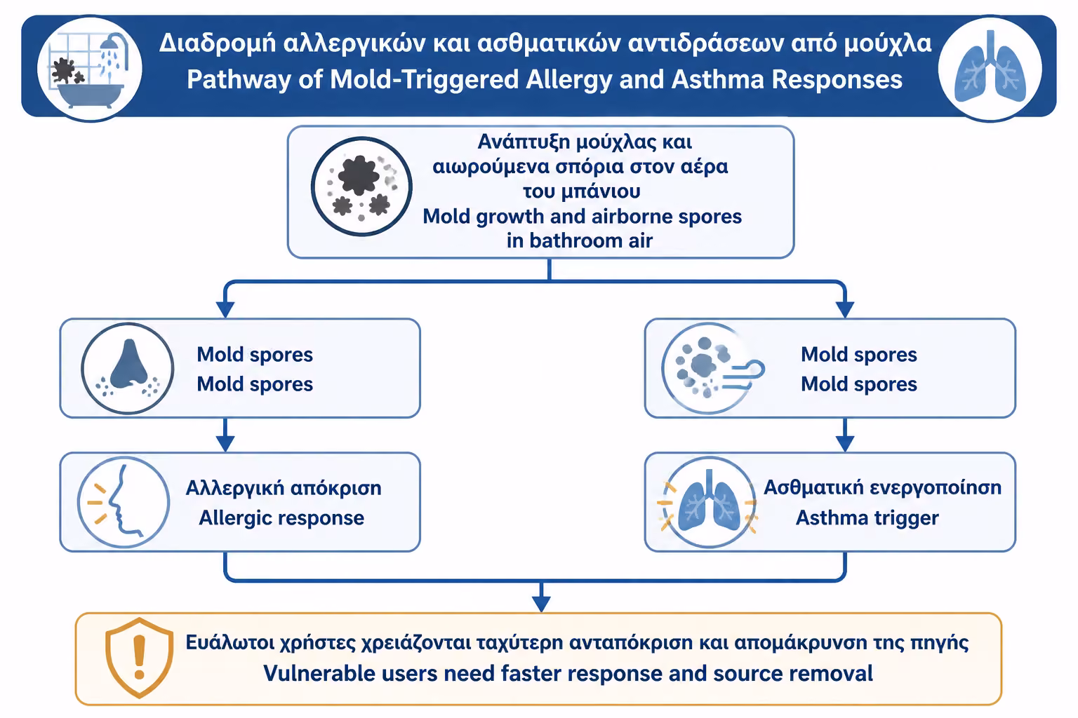 Εικονογράφηση για 5. Μούχλα και άσθμα: γιατί χρειάζεται ιδιαίτερη προσοχή